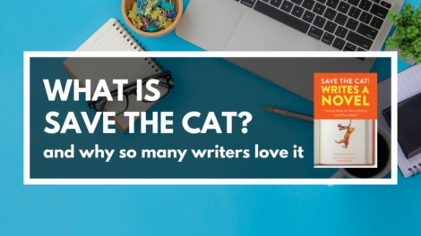 What is Save the Cat? (and why do so many writers love it)